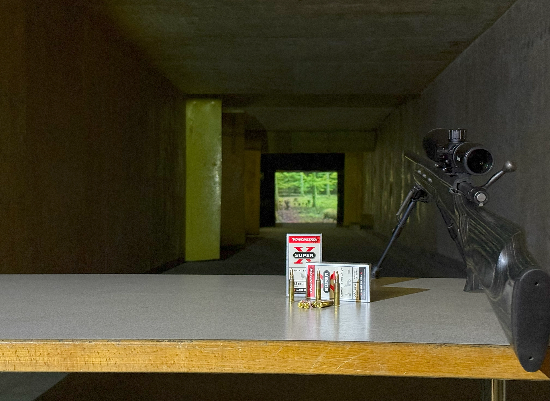 Schießkino – Interaktives Jagd- und Schießtraining mit echter Munition